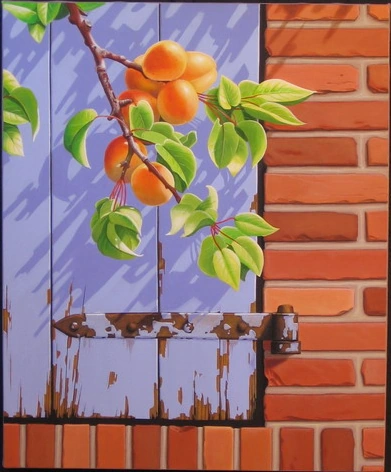 Les abricots
